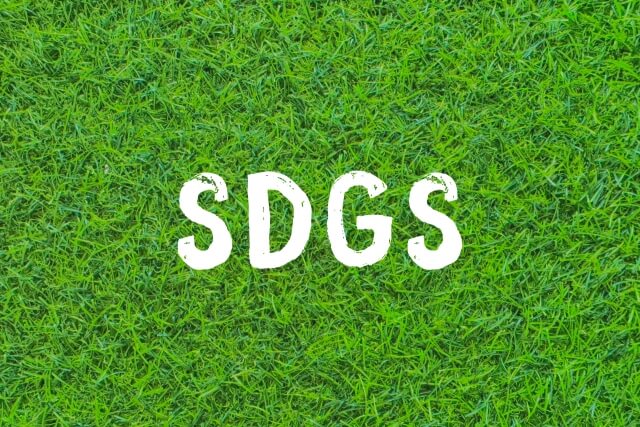 SDGs